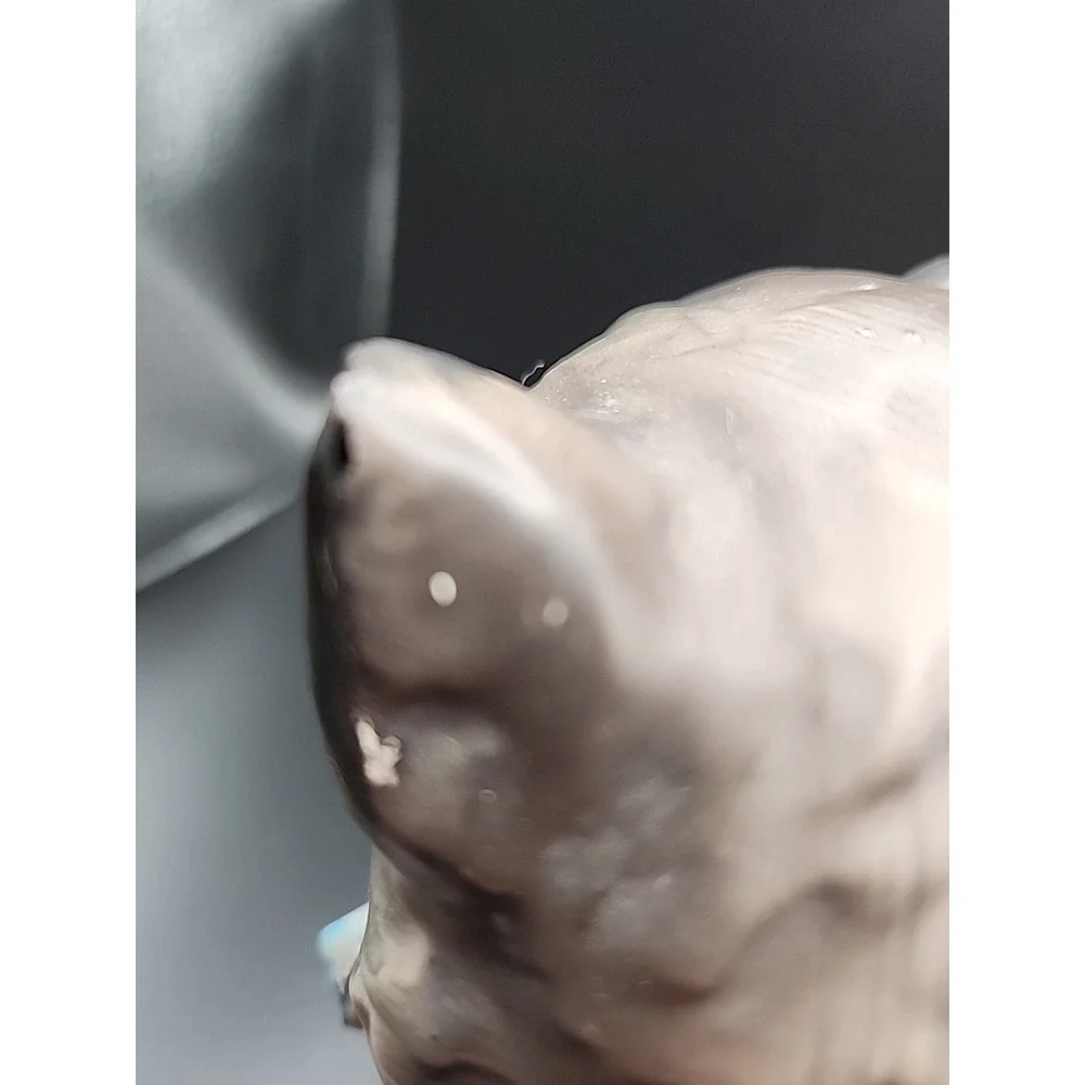 Vintage Lefton Gray Kitten‎ Cat Ceramic Bank #1565